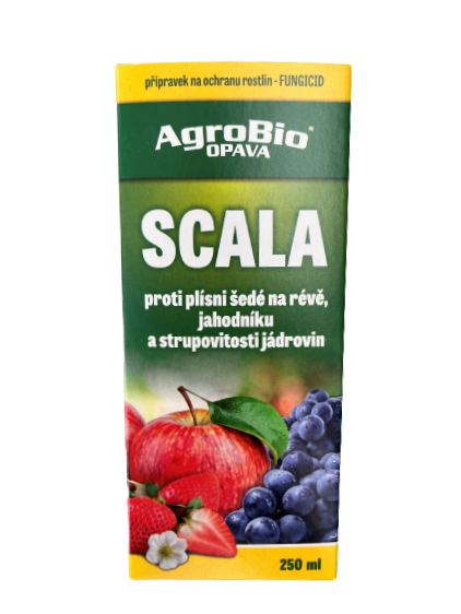 SCALA 250 ml